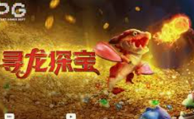 星空全站客户端