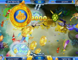 星空全站客户端